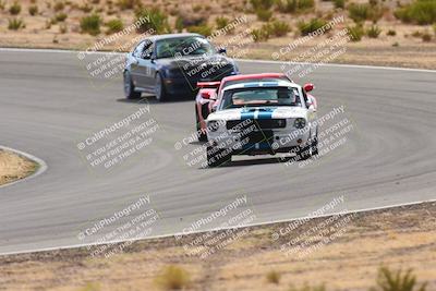 media/Oct-25-2025-West Coast Racing (Sat) [[9fdcbcd09c]]/Yellow group/Turn 3/